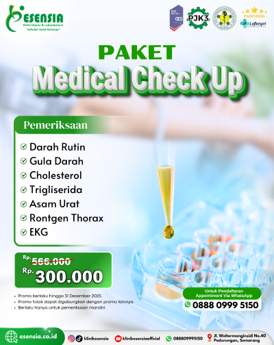 Paket MCU
