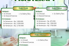 Layanan fisioterapi