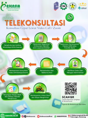alur telekonsultasi